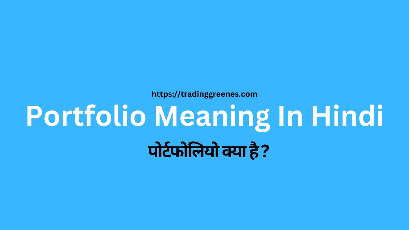 What is Portfolio? Portfolio Meaning In Hindi